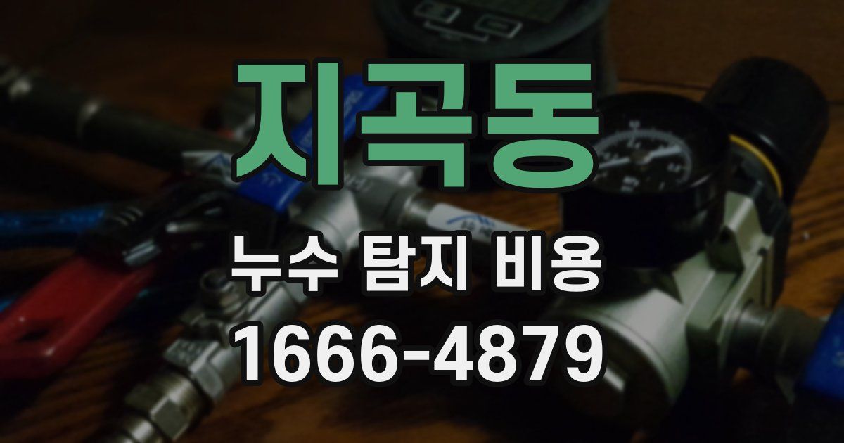 지곡동 누수 탐지 비용