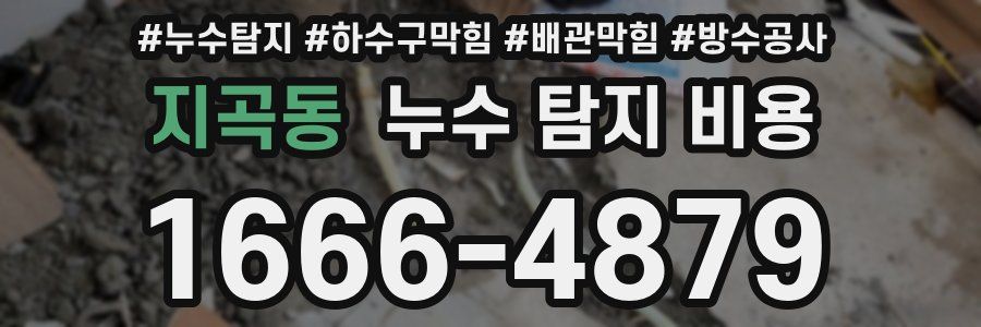 지곡동 누수 탐지 비용