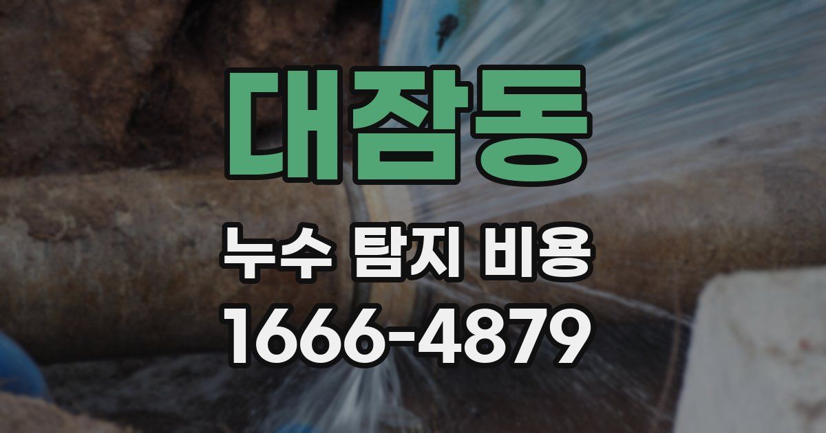 대잠동 누수 탐지 비용