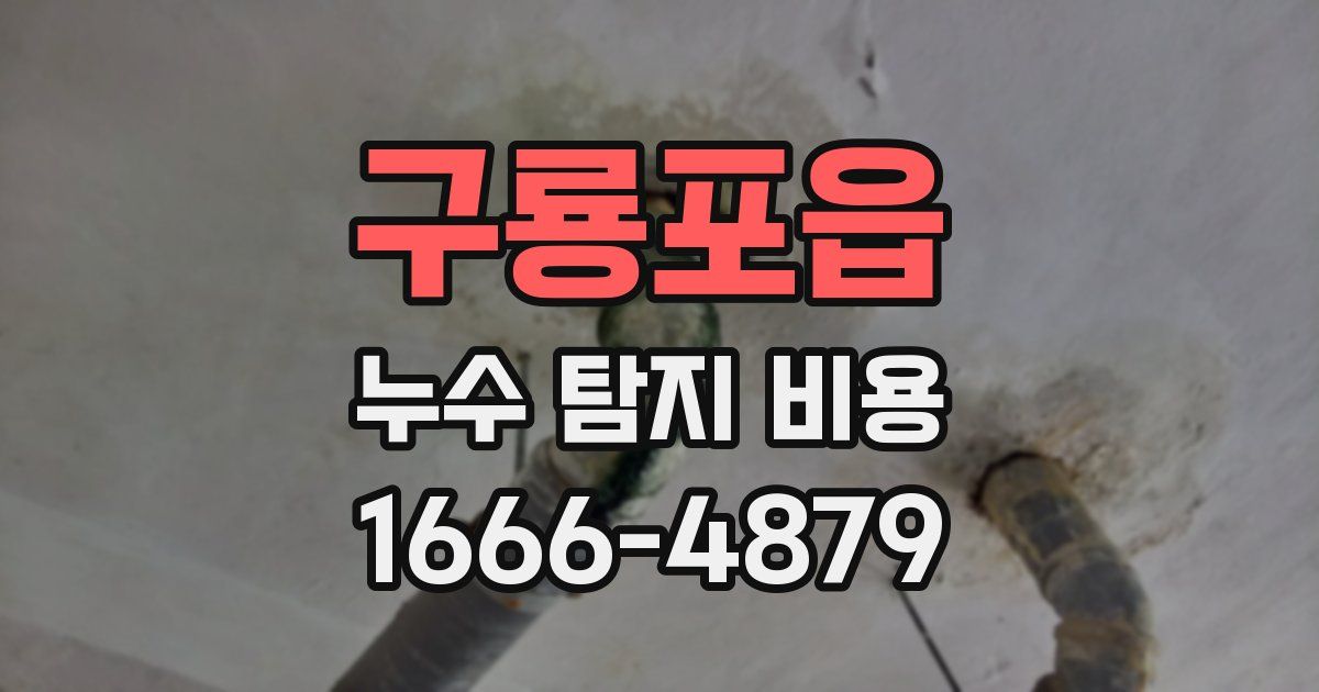 구룡포읍 누수 탐지 비용
