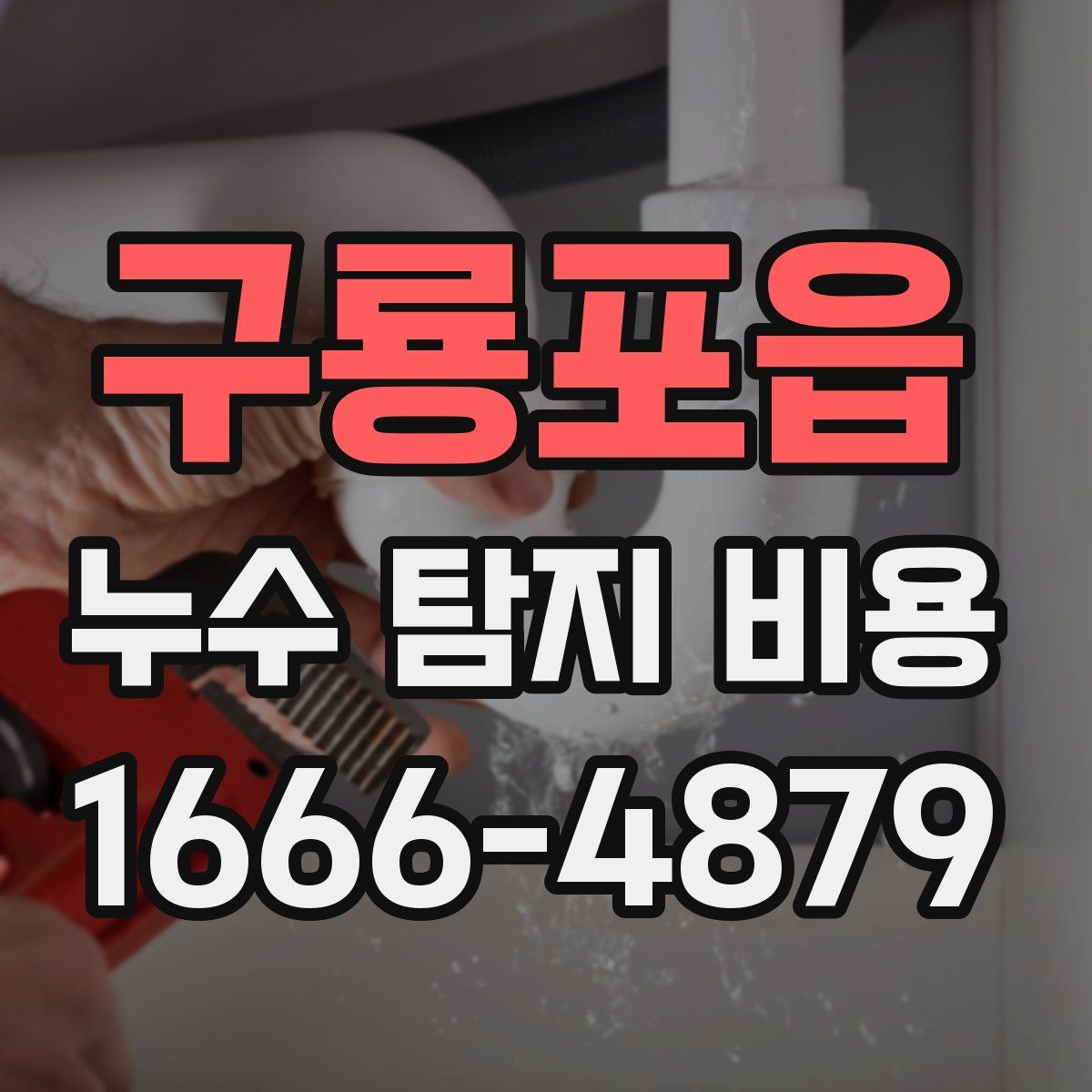 구룡포읍 누수 탐지 비용