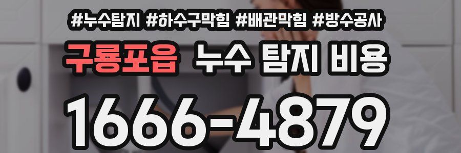 구룡포읍 누수 탐지 비용