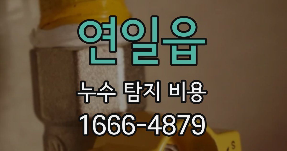 연일읍 누수 탐지 비용