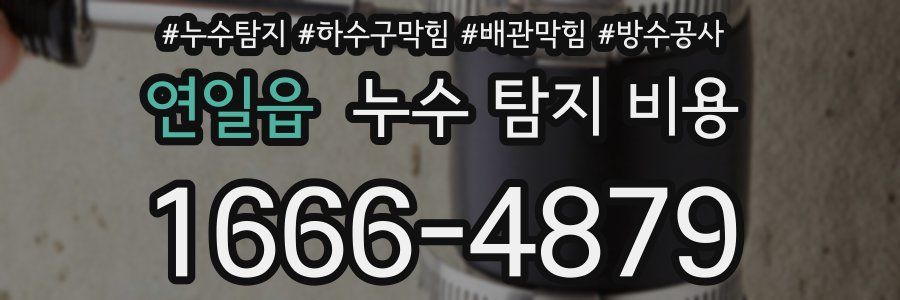 연일읍 누수 탐지 비용
