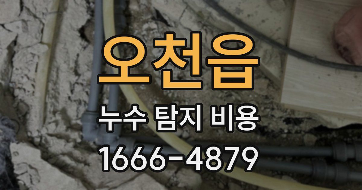 오천읍 누수 탐지 비용