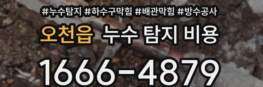 오천읍 누수 탐지 비용