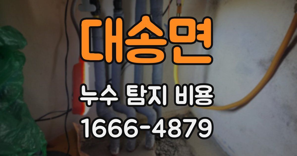 대송면 누수 탐지 비용