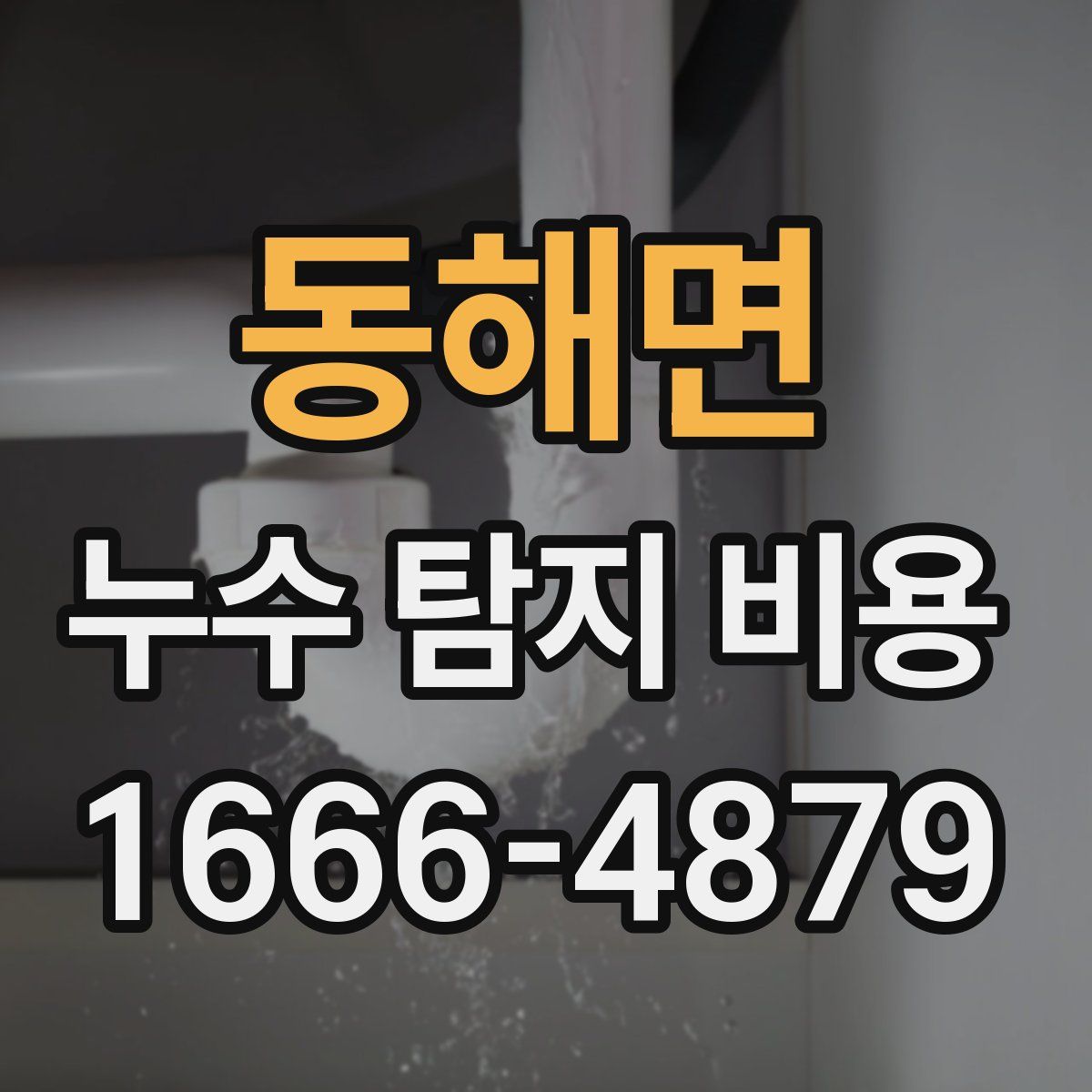 동해면 누수 탐지 비용