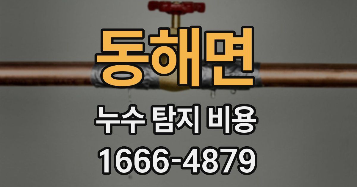 동해면 누수 탐지 비용