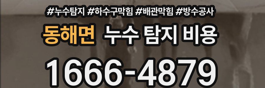 동해면 누수 탐지 비용