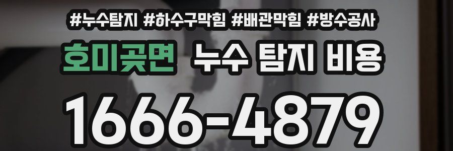 호미곶면 누수 탐지 비용