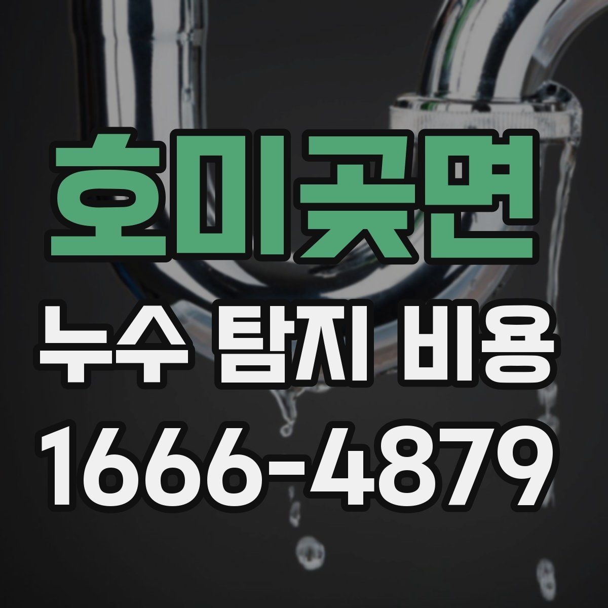 호미곶면 누수 탐지 비용