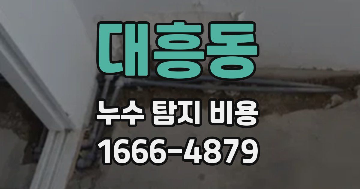 대흥동 누수 탐지 비용