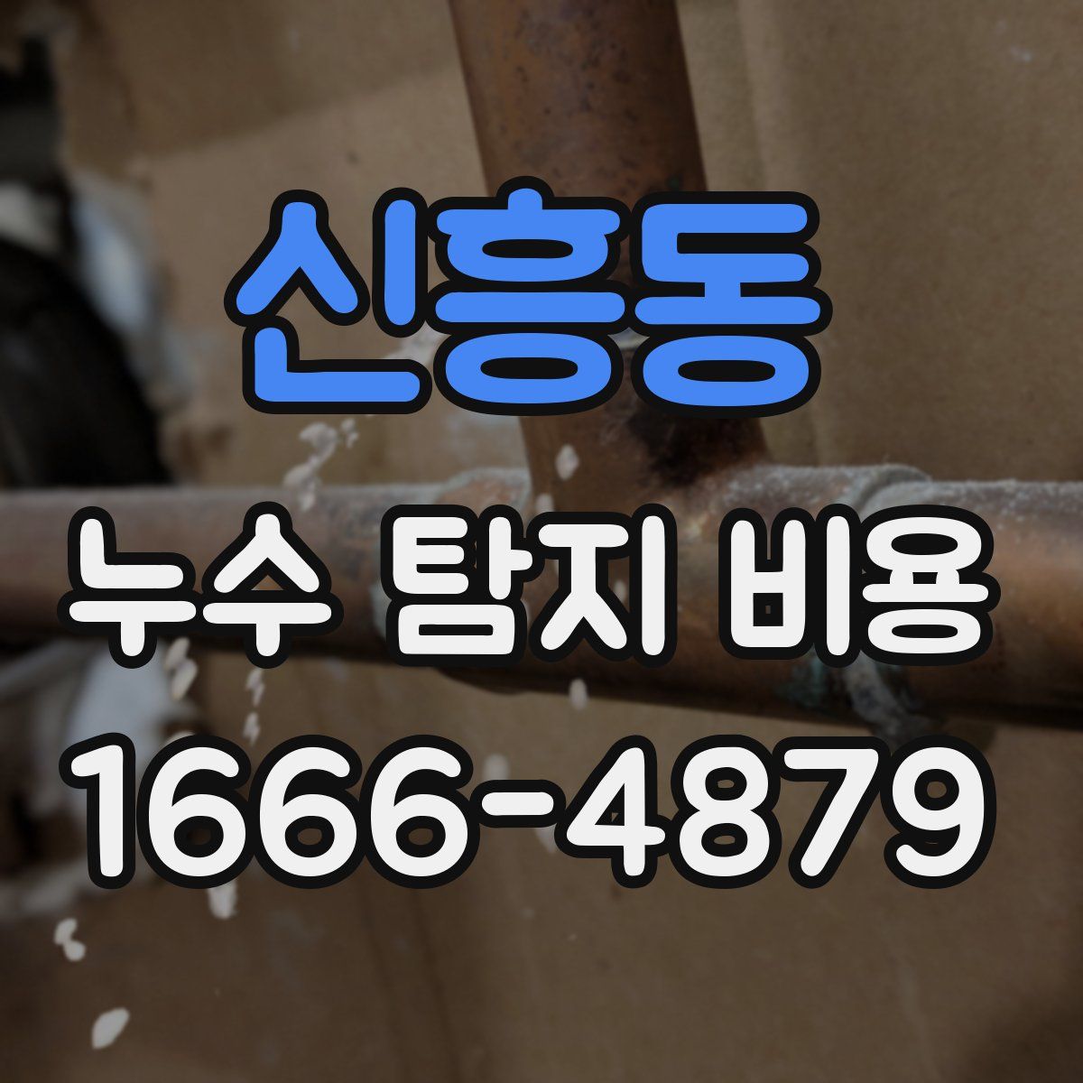 신흥동 누수 탐지 비용