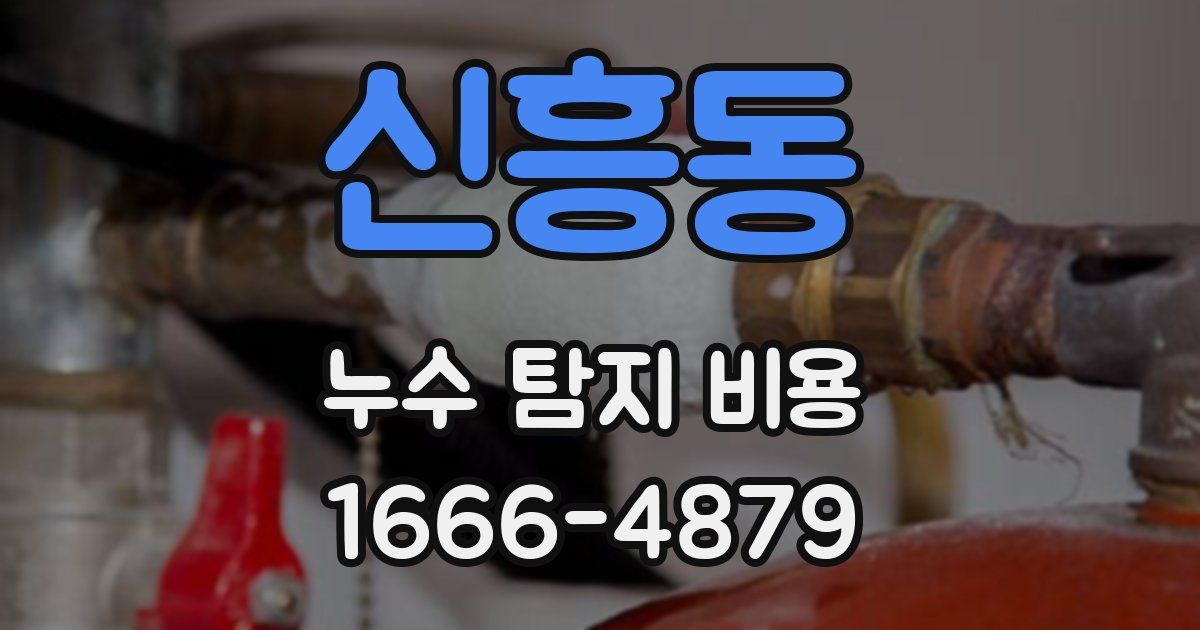 신흥동 누수 탐지 비용