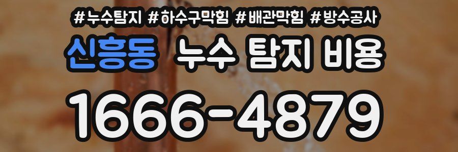신흥동 누수 탐지 비용