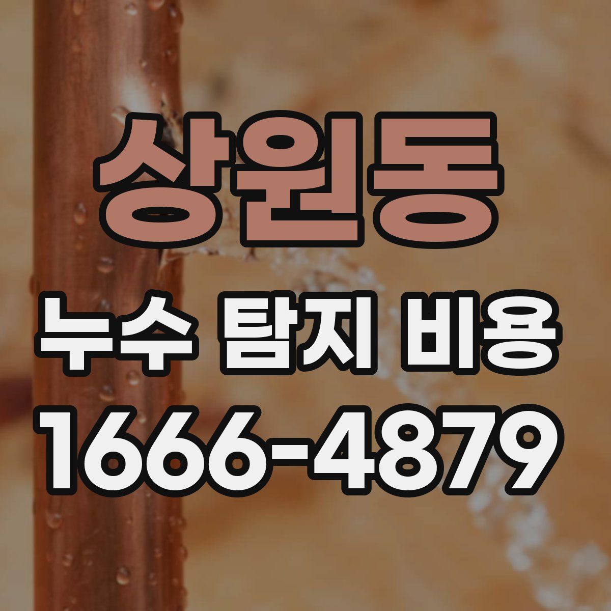 상원동 누수 탐지 비용