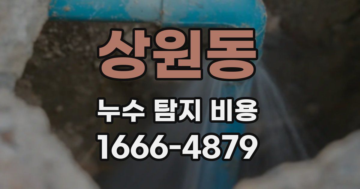 상원동 누수 탐지 비용