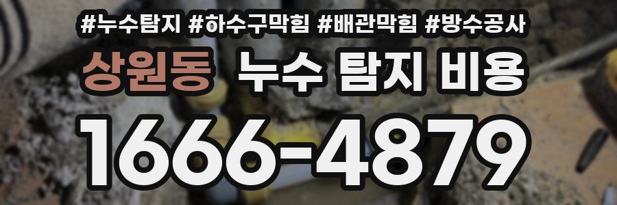 상원동 누수 탐지 비용