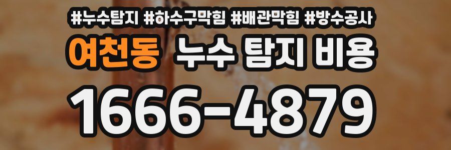 여천동 누수 탐지 비용