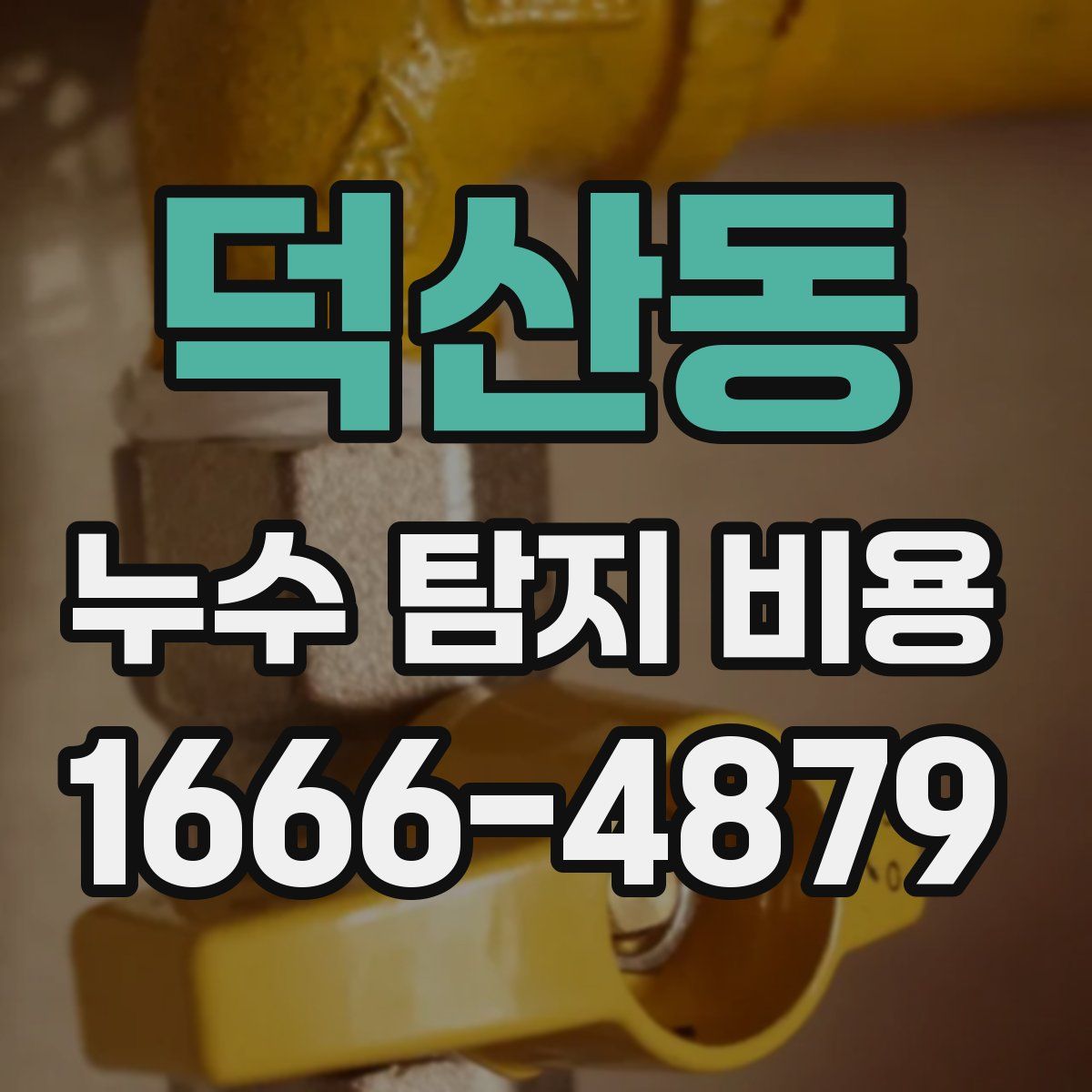 덕산동 누수 탐지 비용