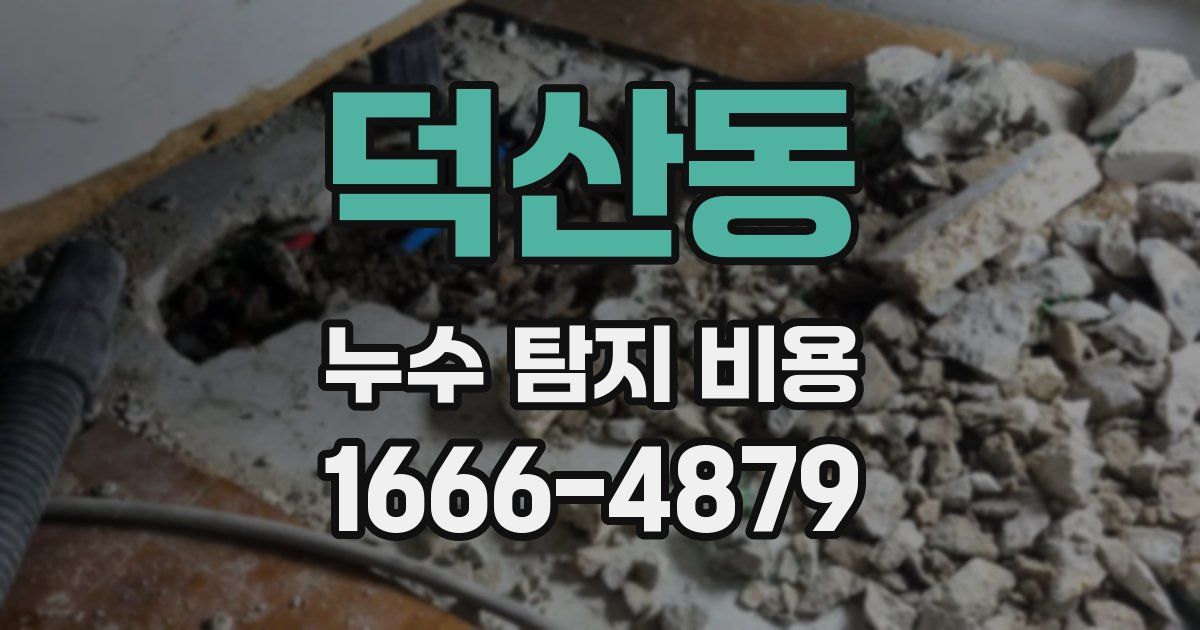 덕산동 누수 탐지 비용
