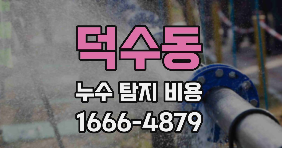 덕수동 누수 탐지 비용