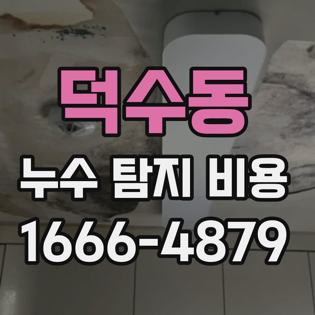 덕수동 누수 탐지 비용