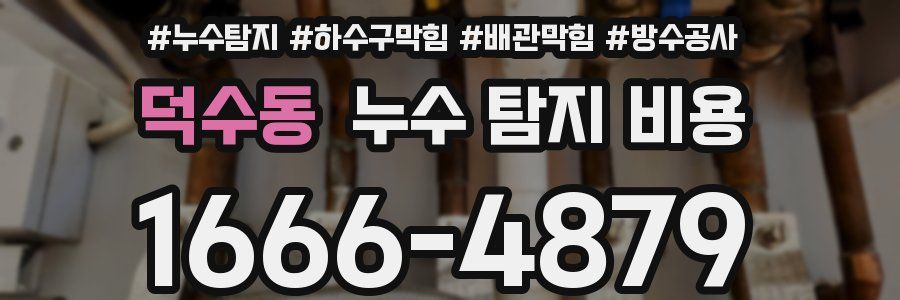 덕수동 누수 탐지 비용