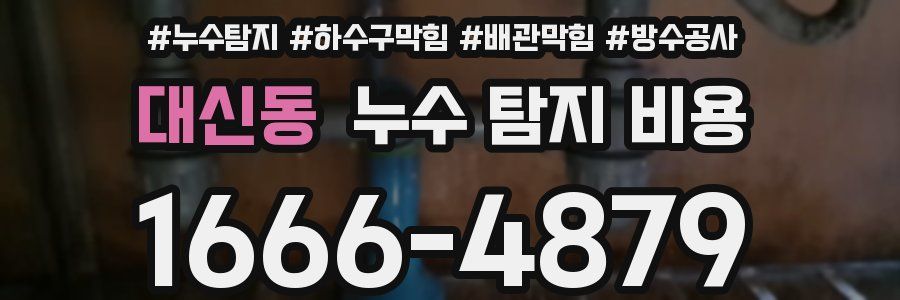 대신동 누수 탐지 비용