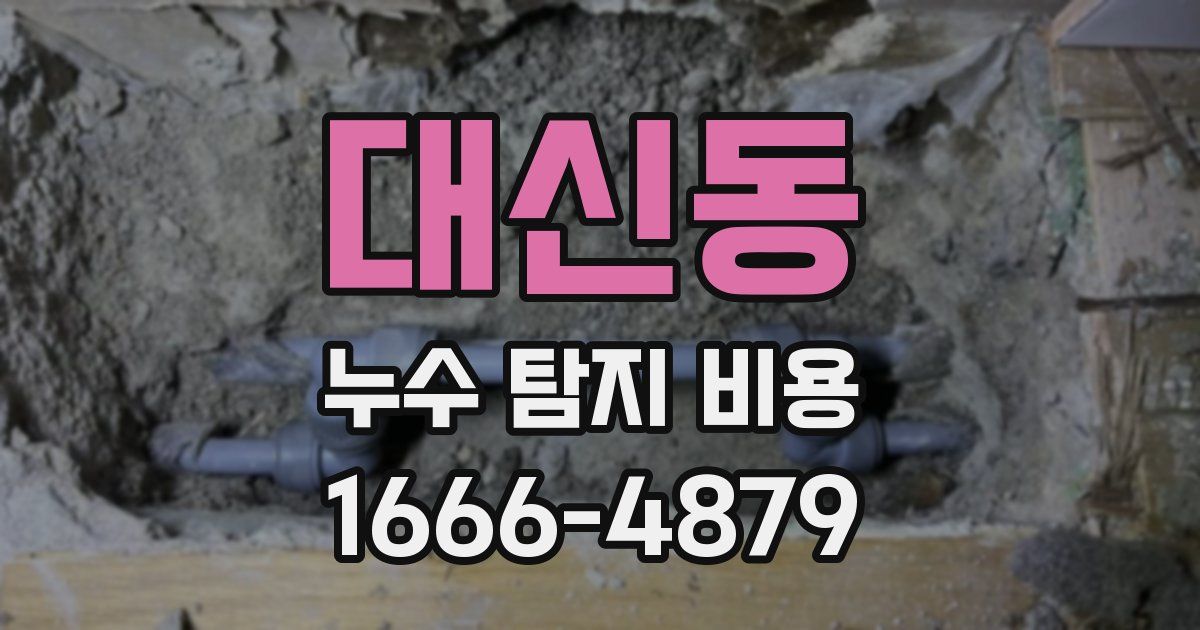 대신동 누수 탐지 비용
