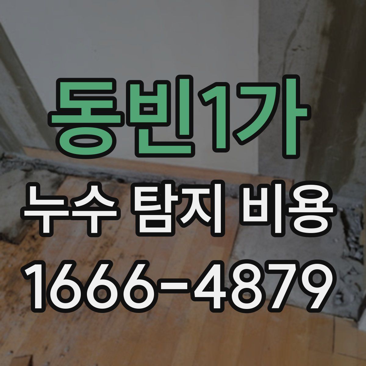 동빈1가 누수 탐지 비용