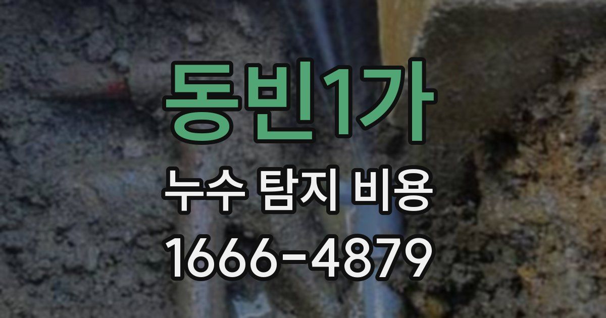 동빈1가 누수 탐지 비용