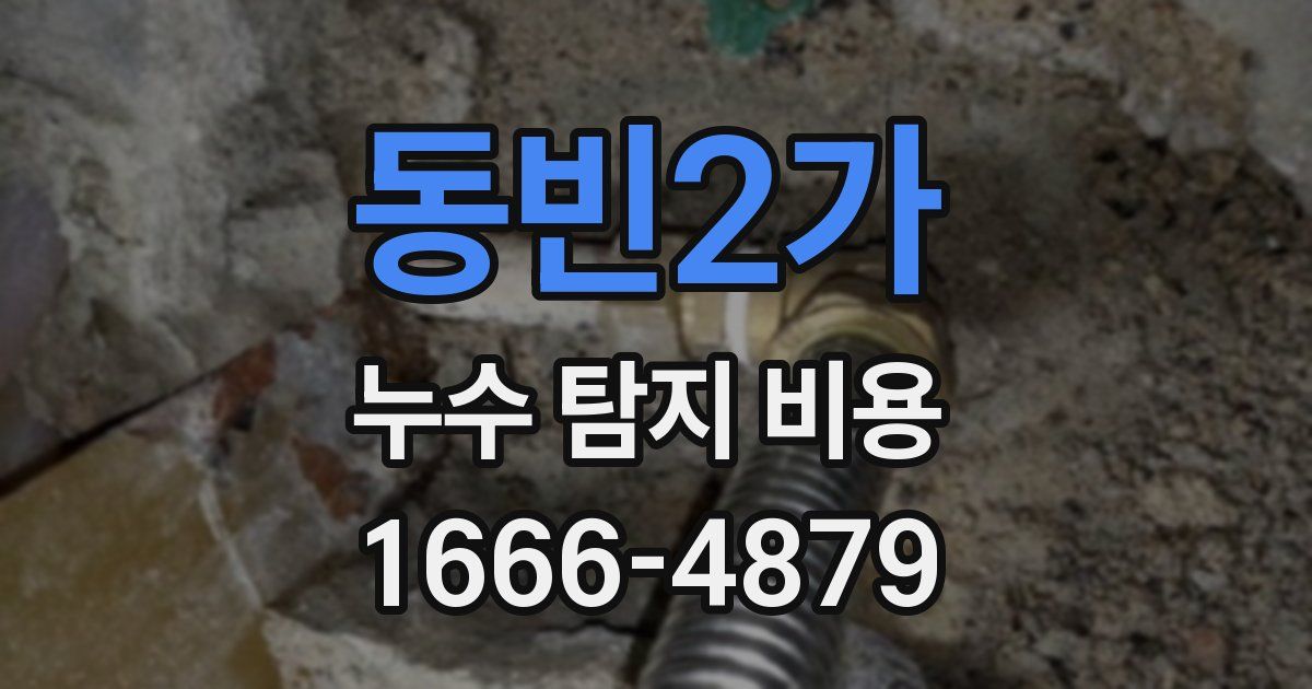 동빈2가 누수 탐지 비용