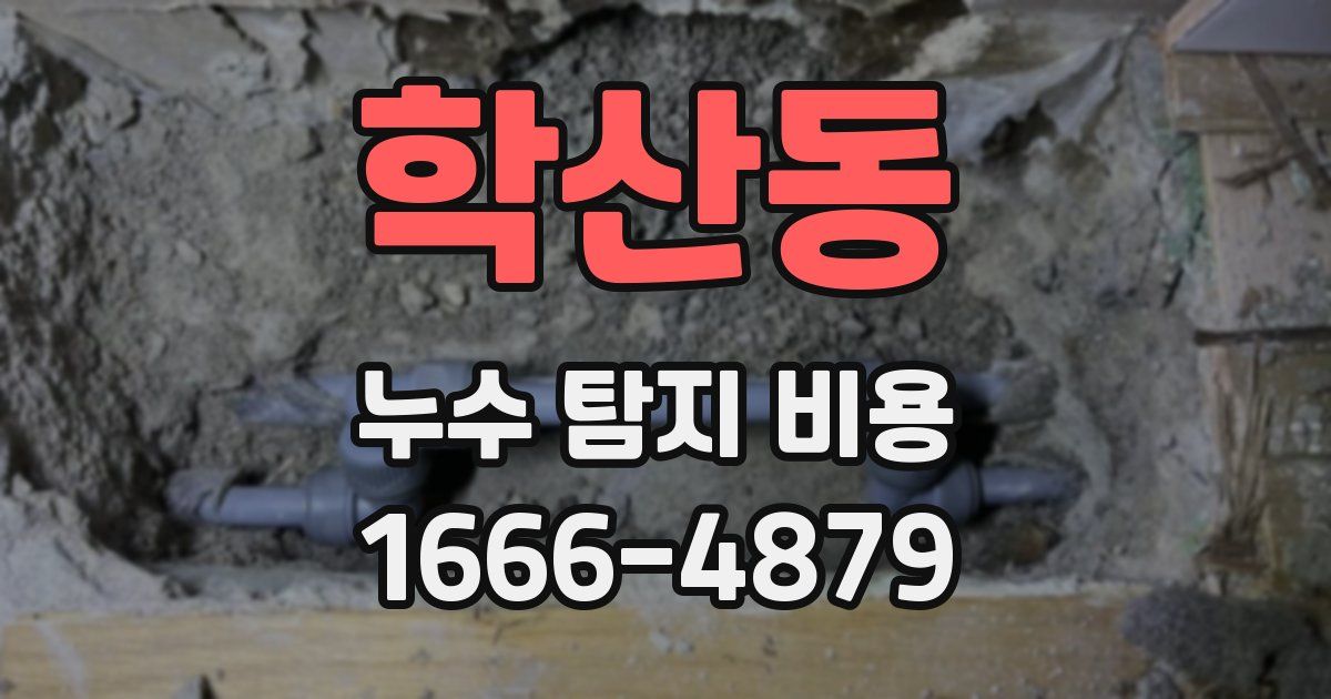 학산동 누수 탐지 비용