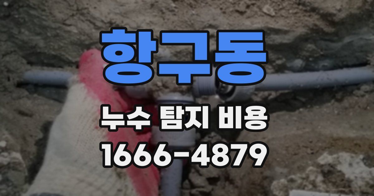 항구동 누수 탐지 비용