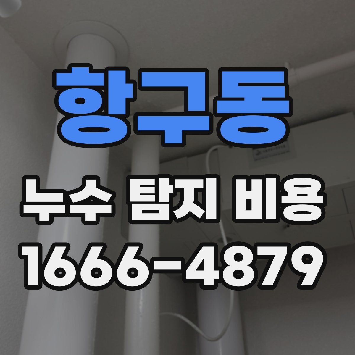 항구동 누수 탐지 비용