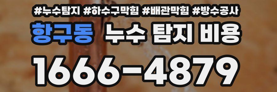 항구동 누수 탐지 비용