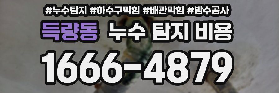 득량동 누수 탐지 비용