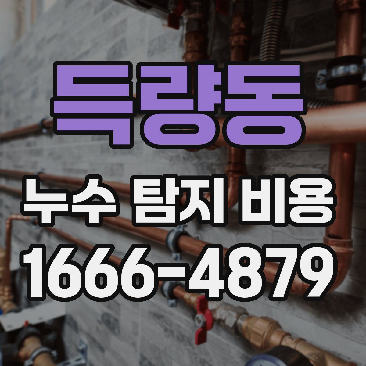 득량동 누수 탐지 비용