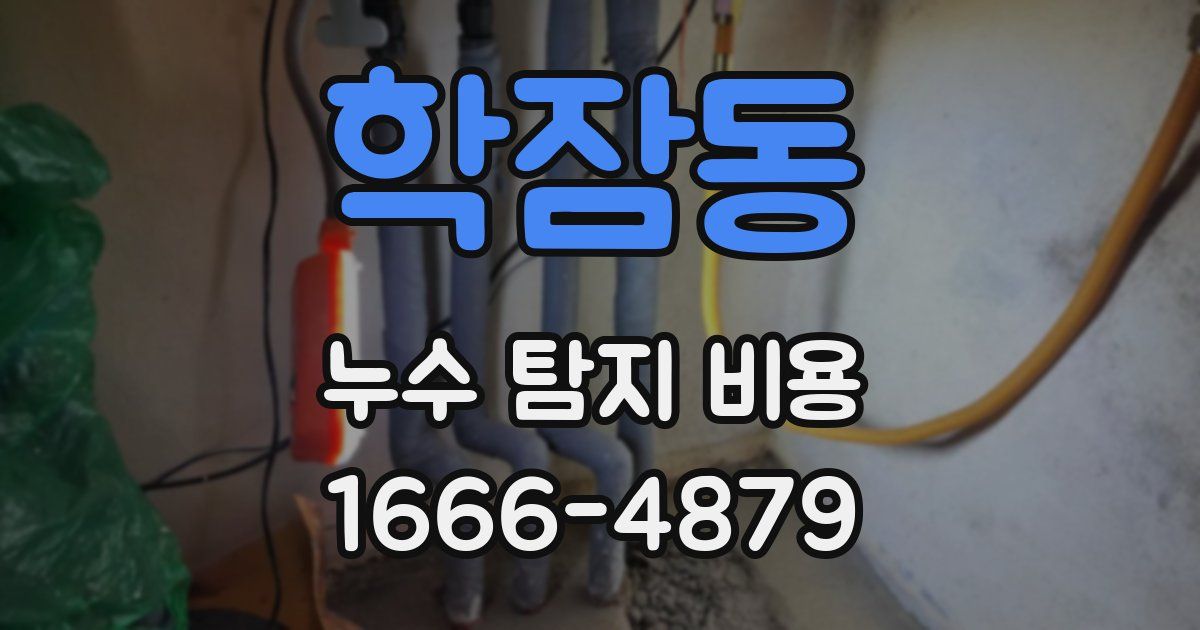 학잠동 누수 탐지 비용