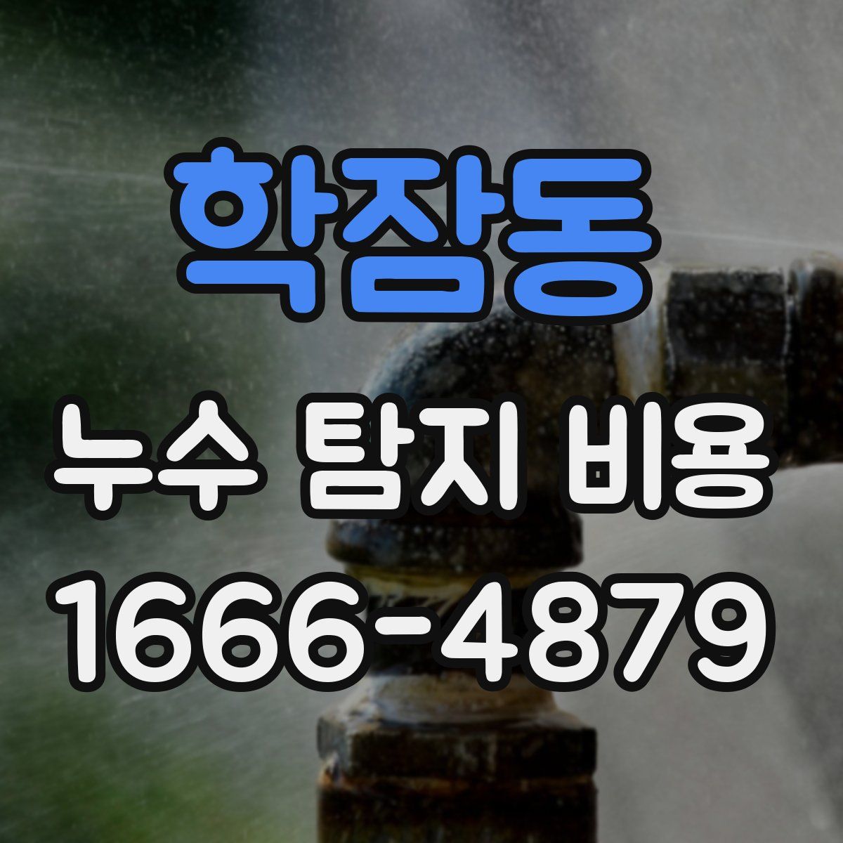 학잠동 누수 탐지 비용