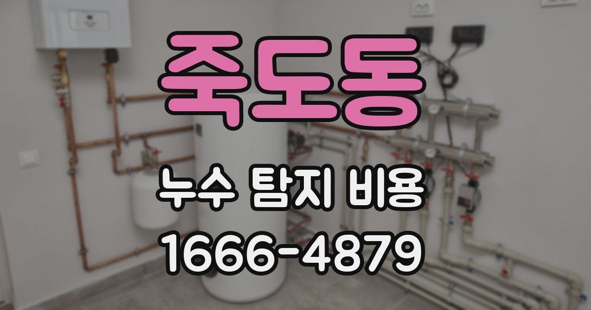 죽도동 누수 탐지 비용