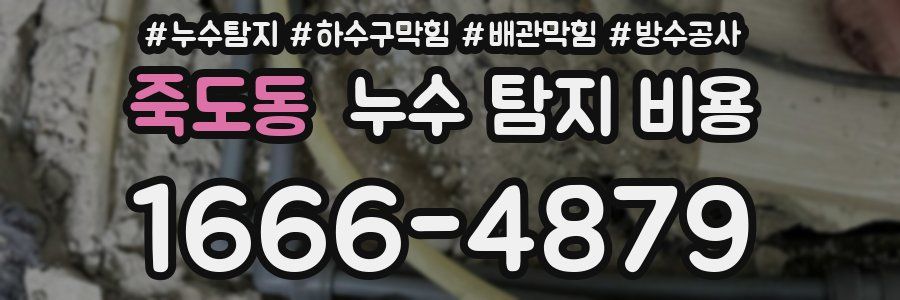 죽도동 누수 탐지 비용