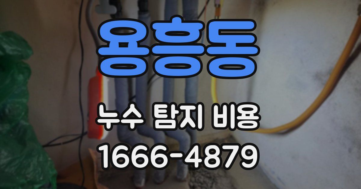 용흥동 누수 탐지 비용