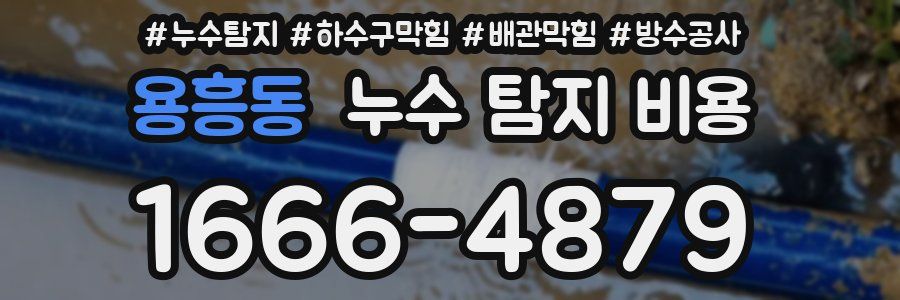 용흥동 누수 탐지 비용
