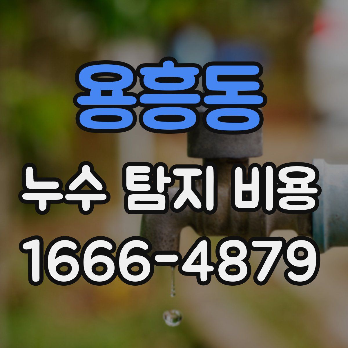 용흥동 누수 탐지 비용