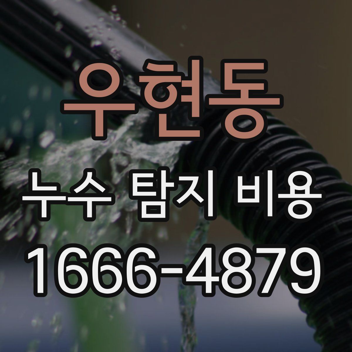 우현동 누수 탐지 비용