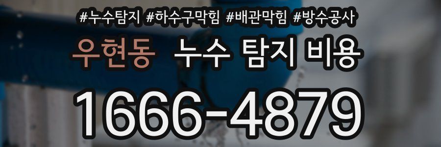 우현동 누수 탐지 비용