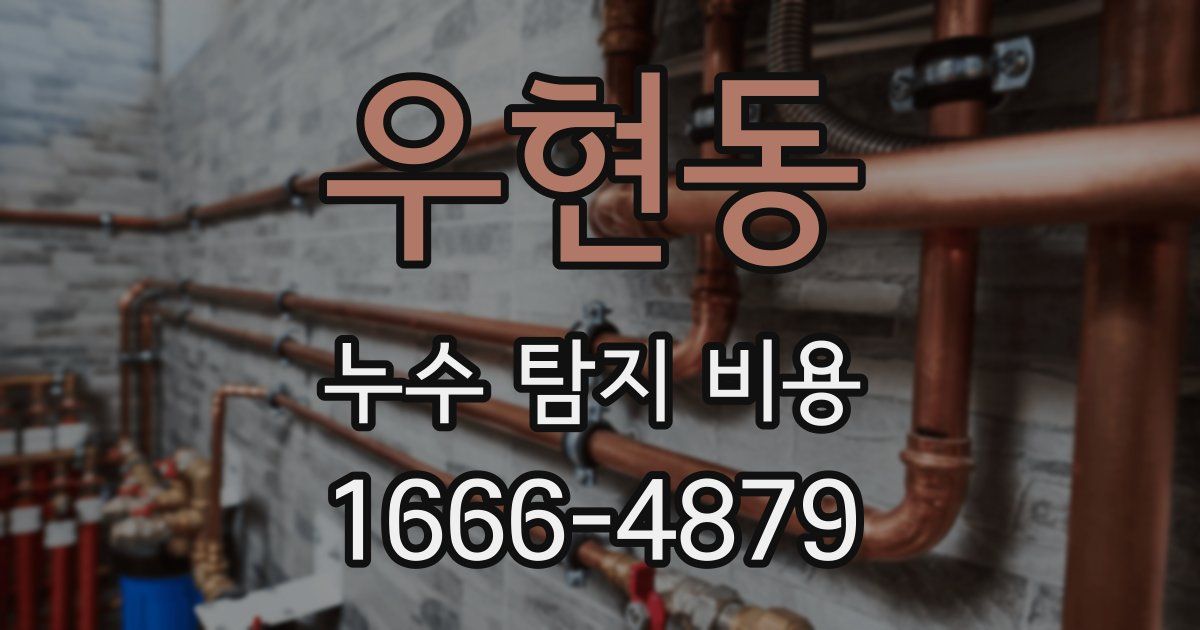 우현동 누수 탐지 비용